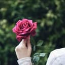 شـروق🦋